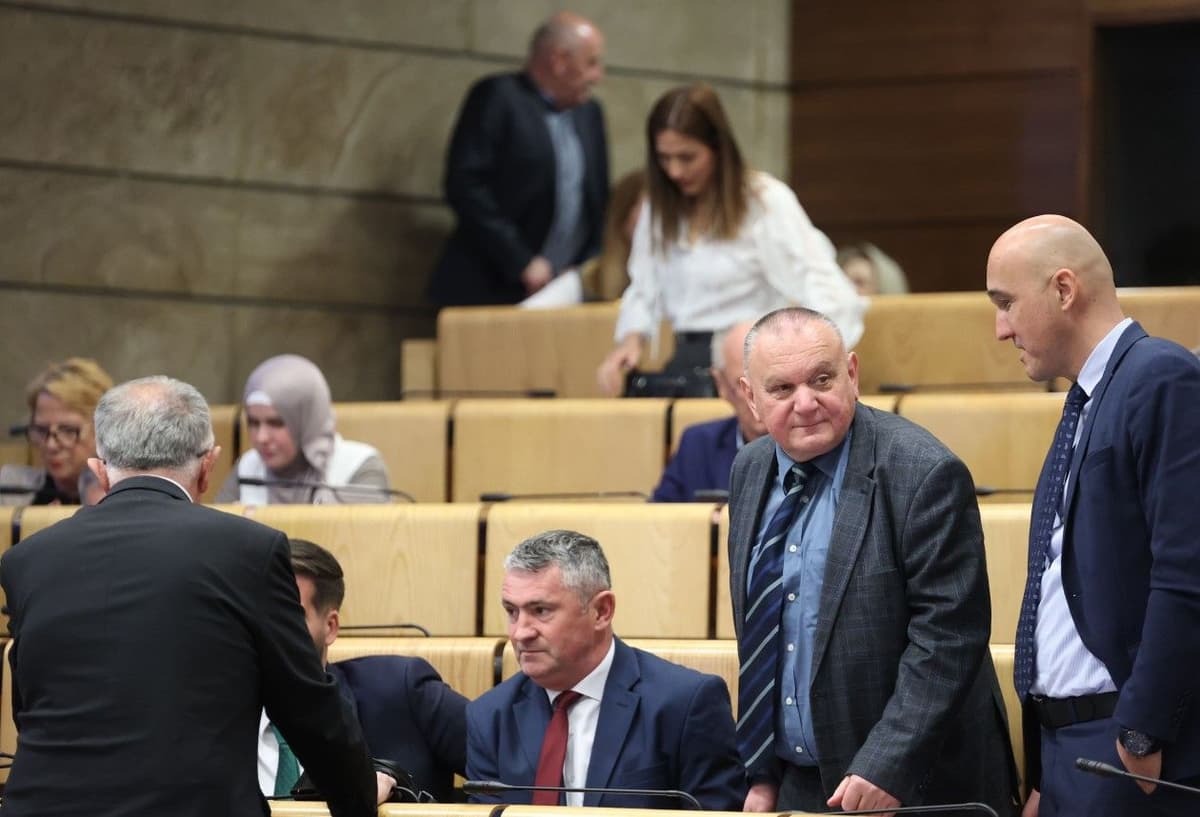 Raguž osporava Zakon o južnoj interkonekciji na sjednici Predstavničkog doma