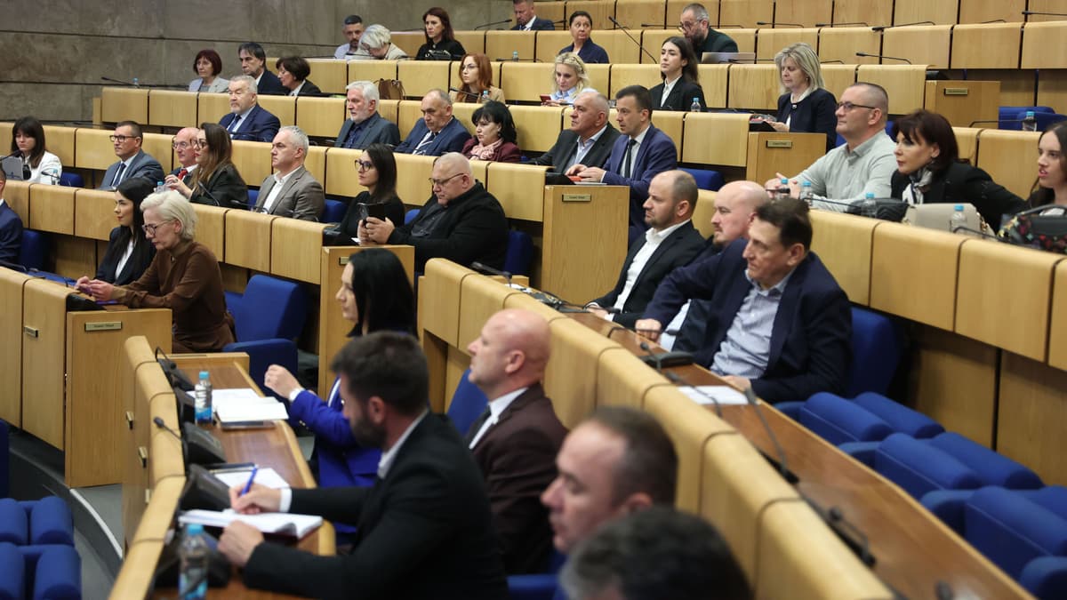 Sjednica Doma naroda FBiH: Raspravlja se o američkom investitoru