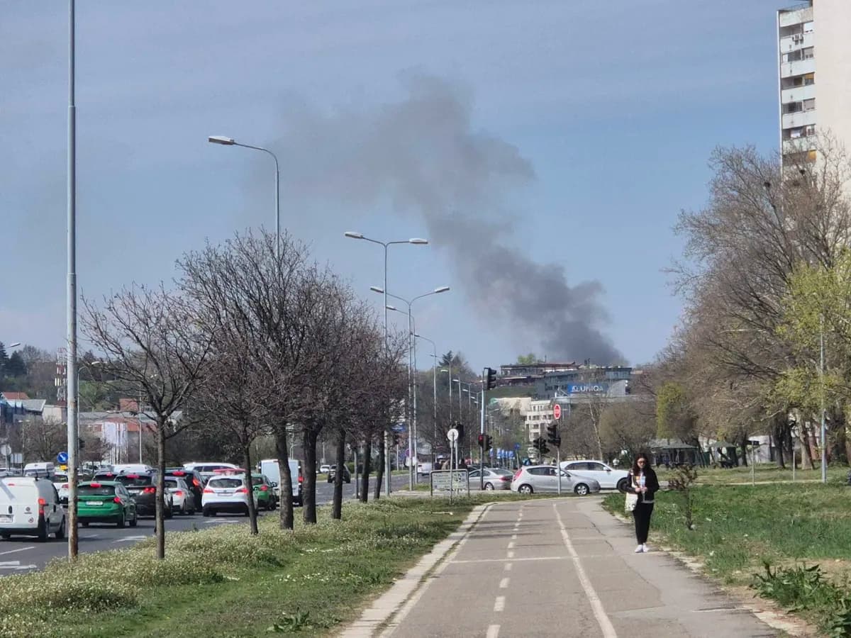 Požar na Bežanijskoj kosi, vatrogasci na terenu