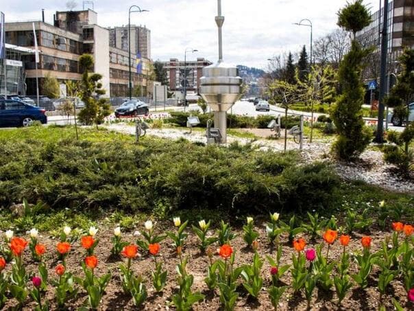 Proljetna ljepota: U Novom Sarajevu zasađeno 6.000 tulipana