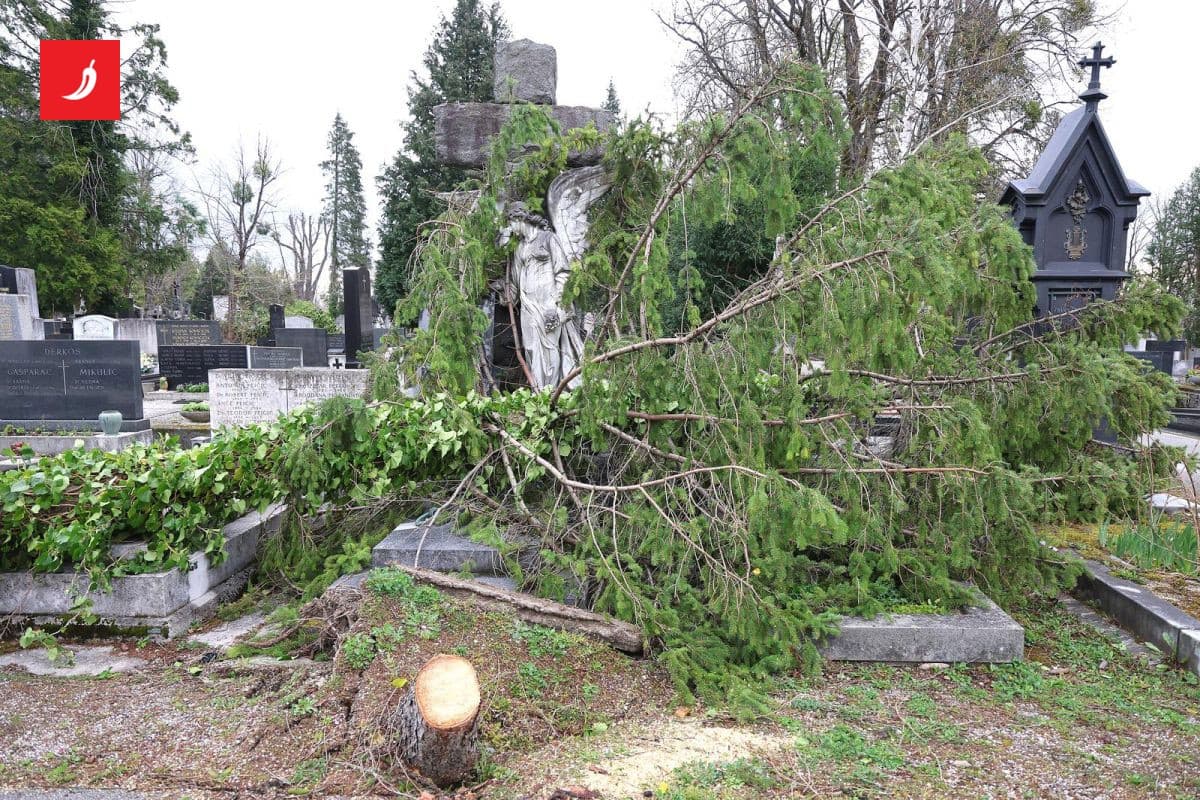 Tomašević najavio financijsku pomoć za štetu na grobljima u Zagrebu
