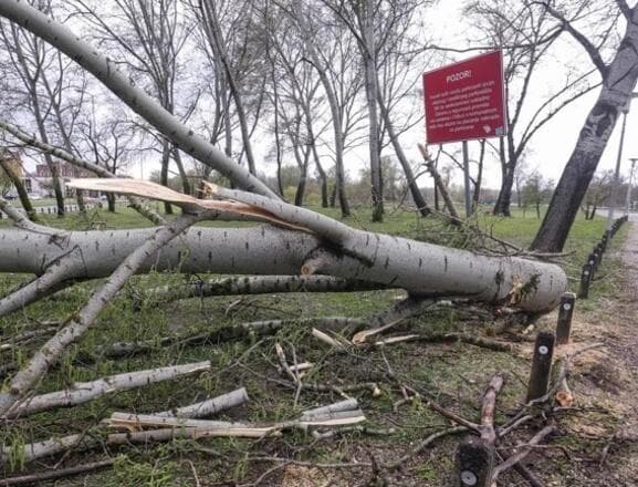 Zagreb se oporavlja od razorne oluje — vatrogasci i komunalne službe u hitnim radovima