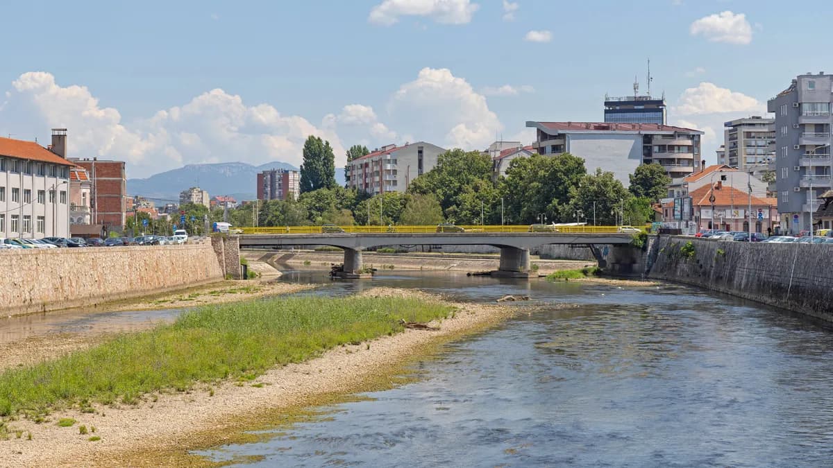 Vizuelni pregled mostova u Nišu koštao 100.000 evra