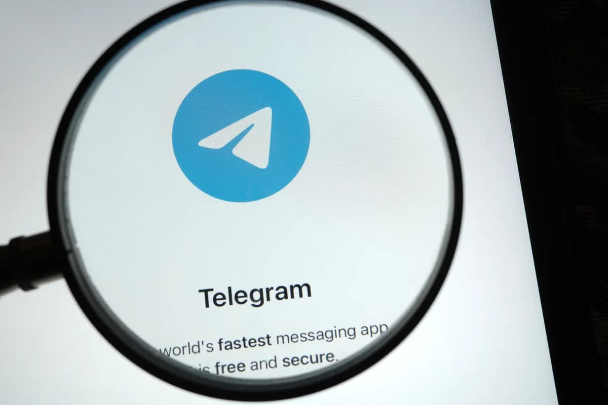 Organizacije traže reakciju EU na digitalno nasilje na Telegramu