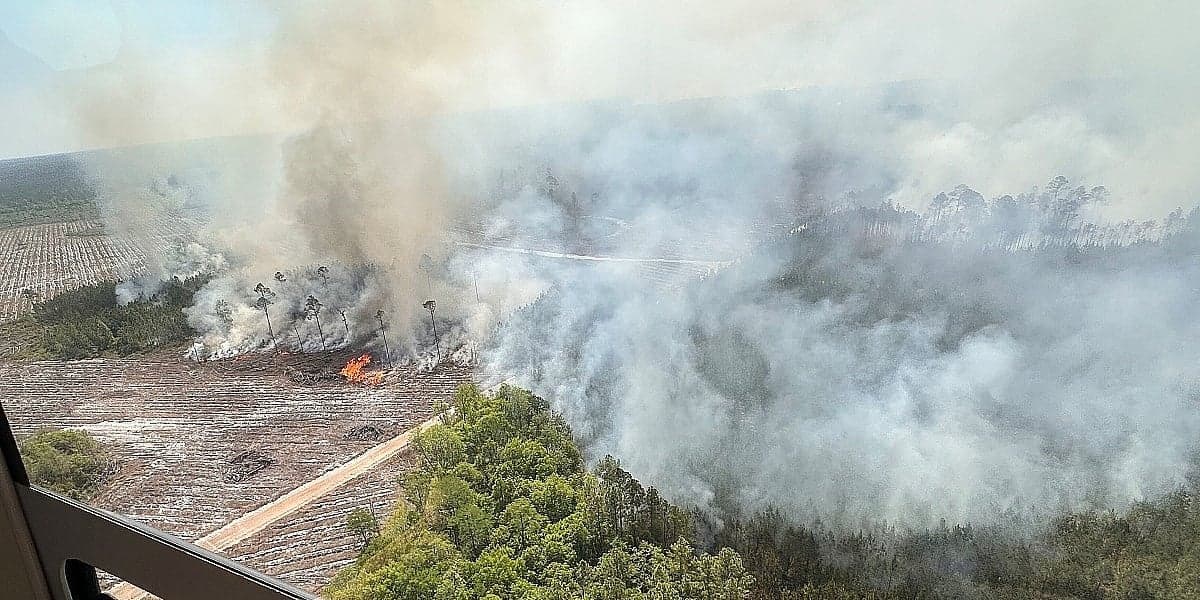 Šumski požari u Georgiji uništili više od 120 kuća, prijete dalje