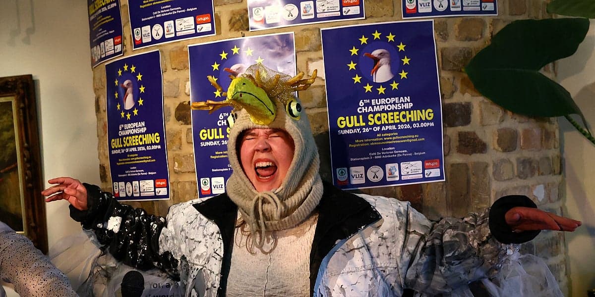 U Belgiji održano Evropsko prvenstvo u kriku galebova