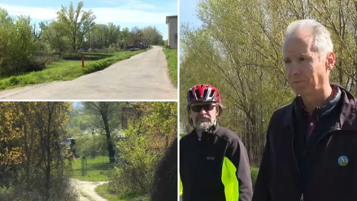 Pobuna stanara Novog Beograda zbog seče stabala za izgradnju puta