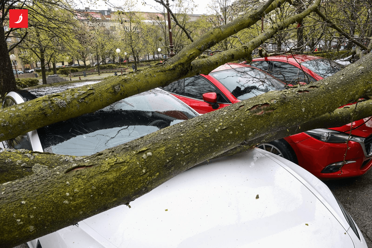 Hladan vjetar u Zagrebu izaziva zabrinutost među građanima